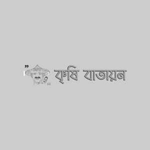 বারি আদা-১