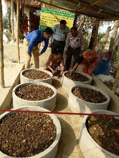 ভার্মি কম্পোস্ট উৎপাদন কৌশল